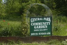 A Community Garden is Born